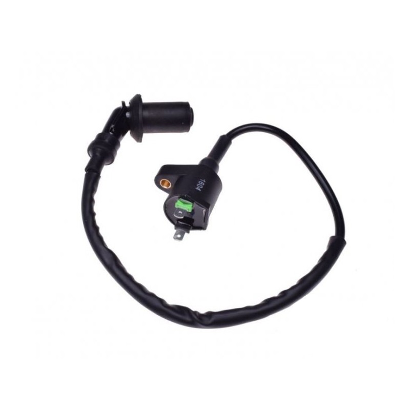 Ignition coil caper 4t zle2011