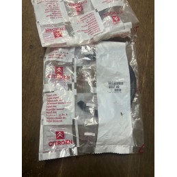 Noise visor citroen oe 5037 49