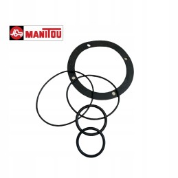 Manitou 56027 seal kit