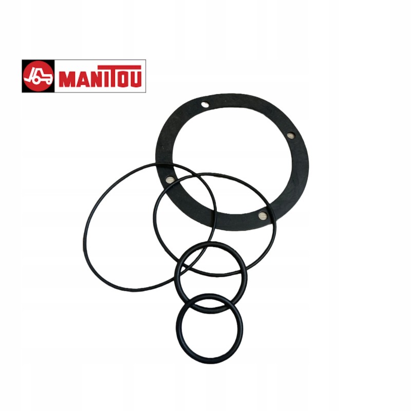 Manitou 56027 seal kit
