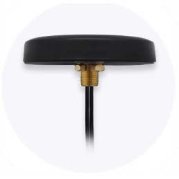 Teltonika 003r 00252 roof lte antenna with sma connectors combo mimo