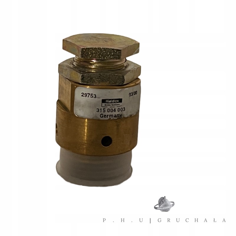 Haldex 315004031 315 004 031 8717171 oil tank release valve