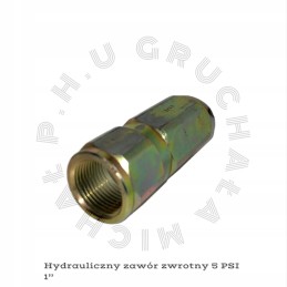 Hydraulic check valve 5psi 1 npt