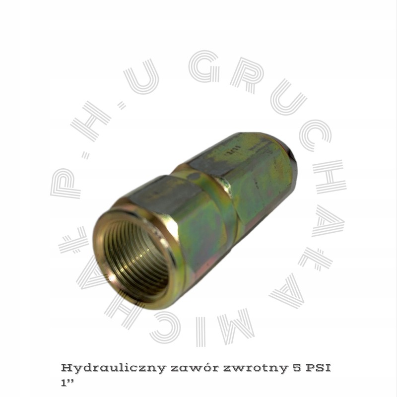 Hydraulic check valve 5psi 1 npt