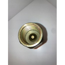 Hydraulic check valve 5psi 1 npt