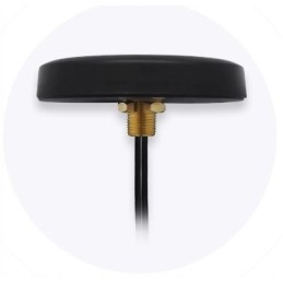 Teltonika 003r 00252 lte antenna mounted on roof sma combo mimo