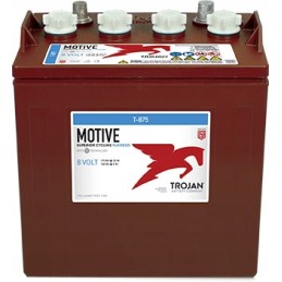 Traction battery 8v 170ah trojan t875
