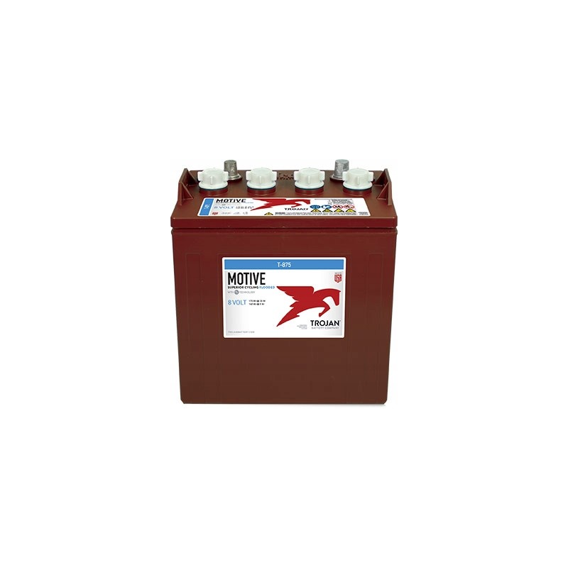 Traction battery 8v 170ah trojan t875