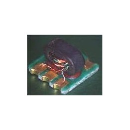 1 pcs : MABA-007871-CT1A40 - Audio & Signal Transformers 5-3000MHz Imp. 1:1 50 & 75 ohm