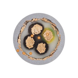 1 Reel of 25 M - Igus chainflex CFBUS Data Cable, 2 Cores, 0.25 mm², Screened, 25m, Purple TPE Sheath, 24 AWG