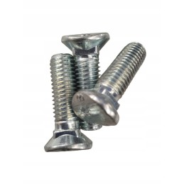 Oval carriage bolt 100323065
