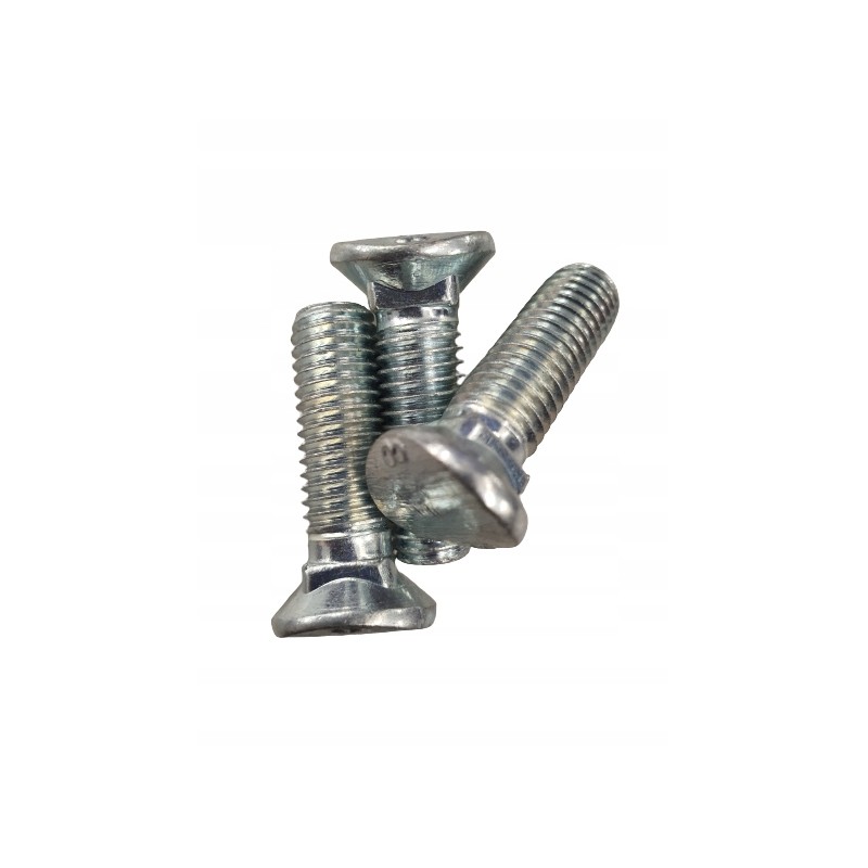 Oval carriage bolt 100323065