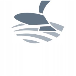 em type extension, left