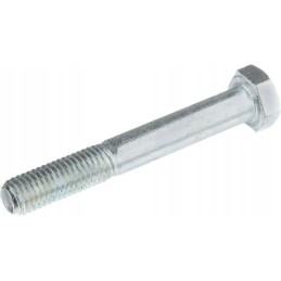 Screw m14x2x100 u5737 8 8