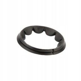 Sunny Lemken Hassia seeder pad 4810988