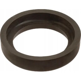 Sealing ring