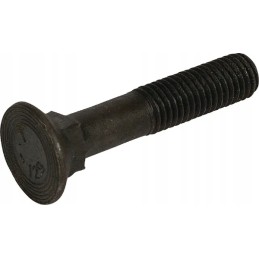 Plug screw M12 x 65