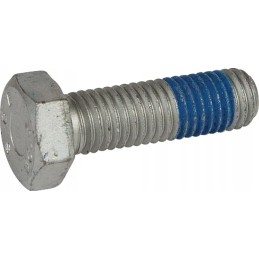 Screw with a 6 kt fella head