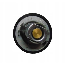 Deutz thermostat 0 900 0133 3