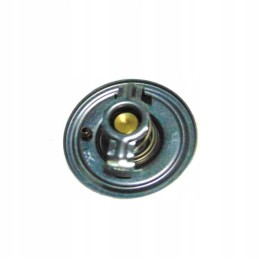 Landini thermostat 144622m91