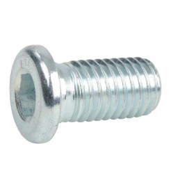 Screw 5 8 11x30 l