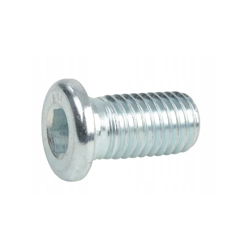Screw 5 8 11x30 l