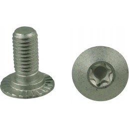 Torx screw m10x23 10 9