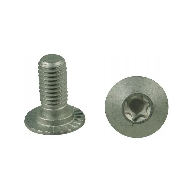 Torx screw m10x23 10 9