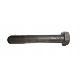 Bearing cover bolt