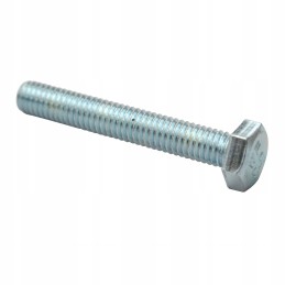 M6 40 screw, galvanized