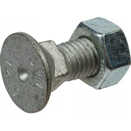 Plug screw