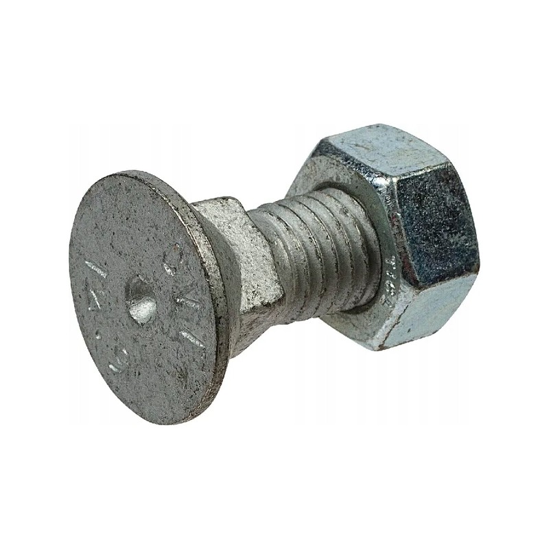 Plug screw