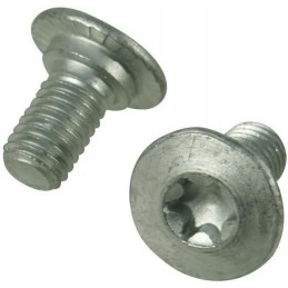 Torx screw M10x19