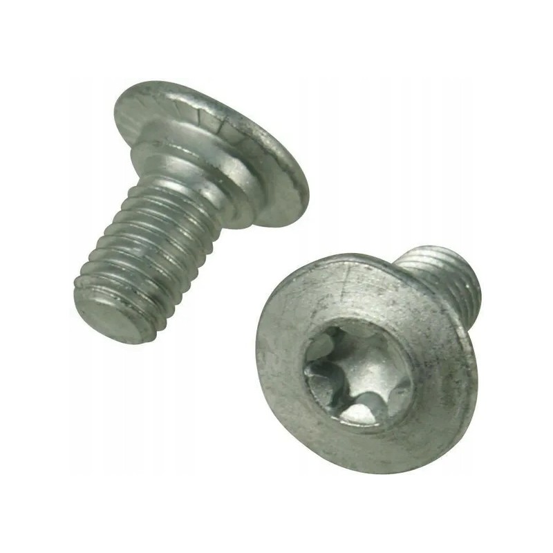 Torx screw M10x19