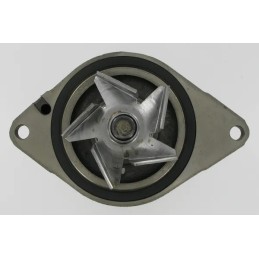 cnh water pump