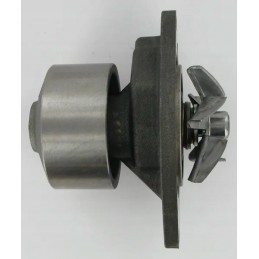 cnh water pump