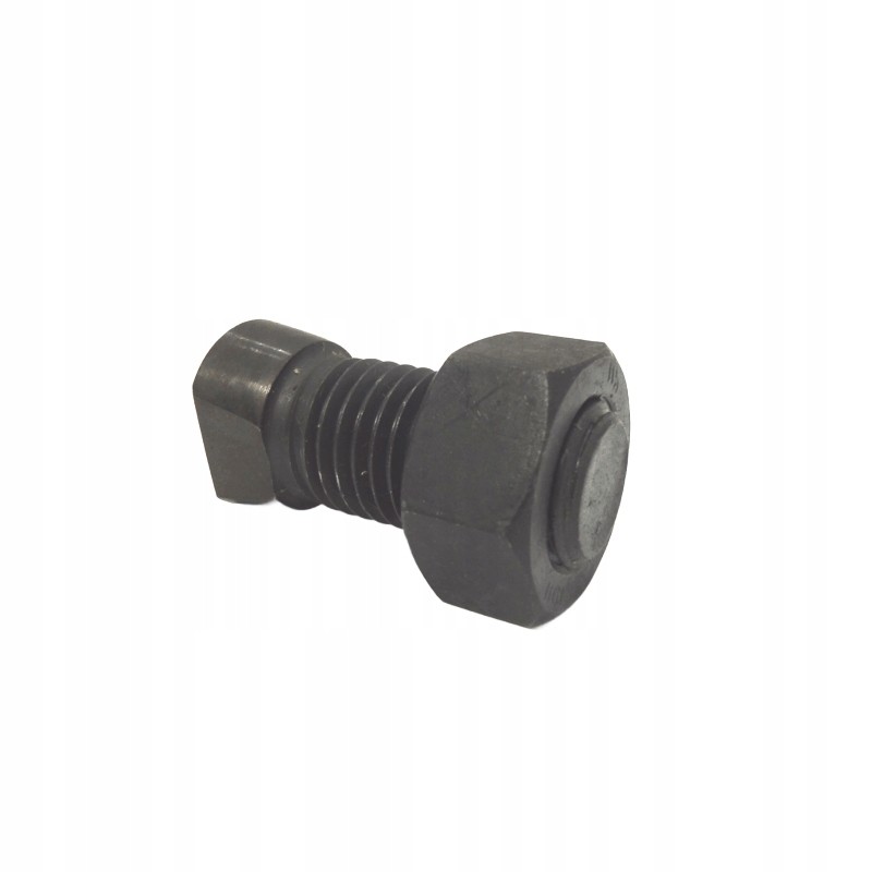 Plug screw M20 50 with oval nut