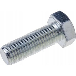 M20x55 screw
