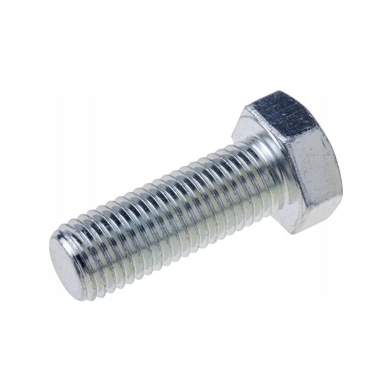 M20x55 screw