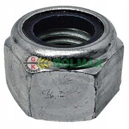 Hex nut 6060019