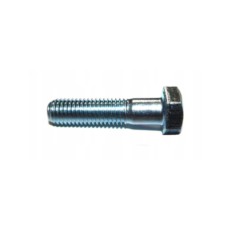 Screw M12 50, partial thread, galvanized