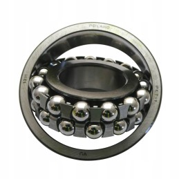 Bearing 1311 flt w205