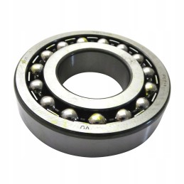 Bearing 1311 flt w205