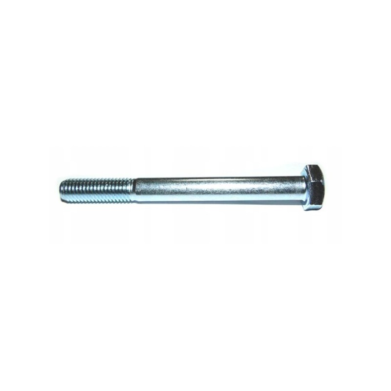 Screw M10 120, galvanized