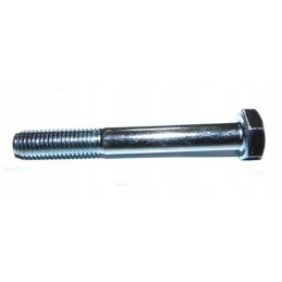 M12 100 screw, galvanized