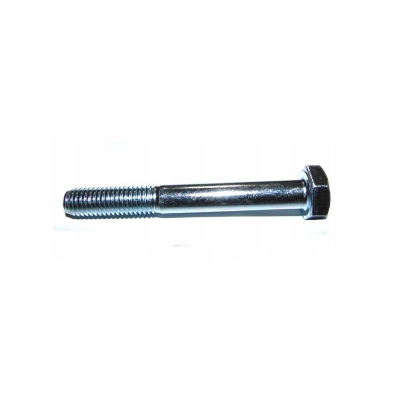 M12 100 screw, galvanized