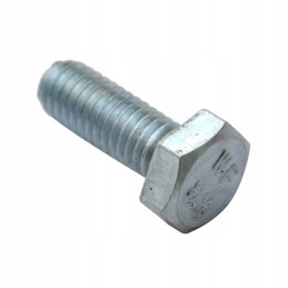 M6 16 screw, galvanized