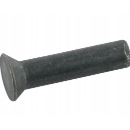 Rivet 7 30 200217313