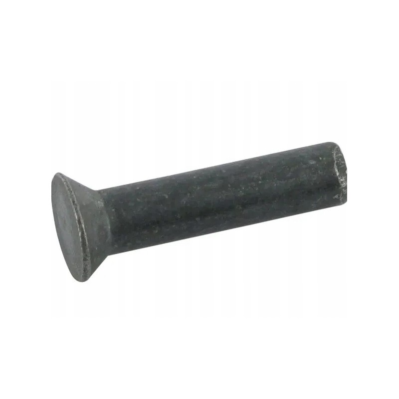 Rivet 7 30 200217313
