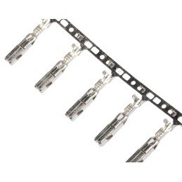 100 pcs - Delphi, Sicma-3 Female